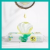 Pampers Chusteczki Pure Coconut  42 szt